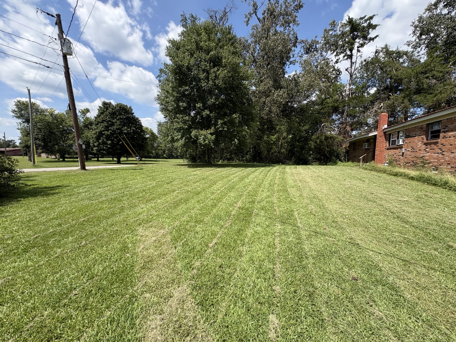 Freshly mowed lawn with visible mowing lines